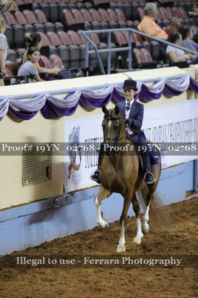 Proof 19YN_02768