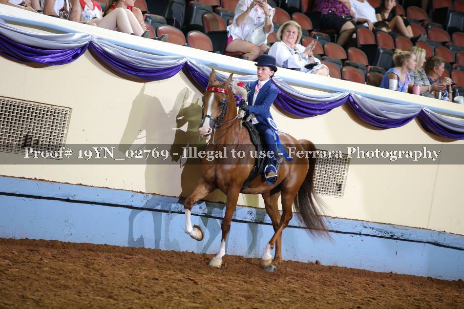 Proof 19YN_02769