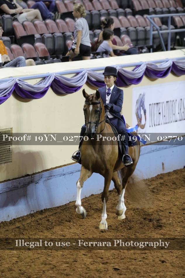 Proof 19YN_02770