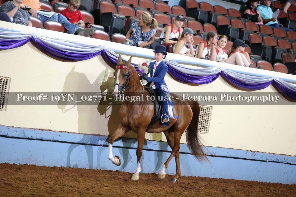 Proof 19YN_02771