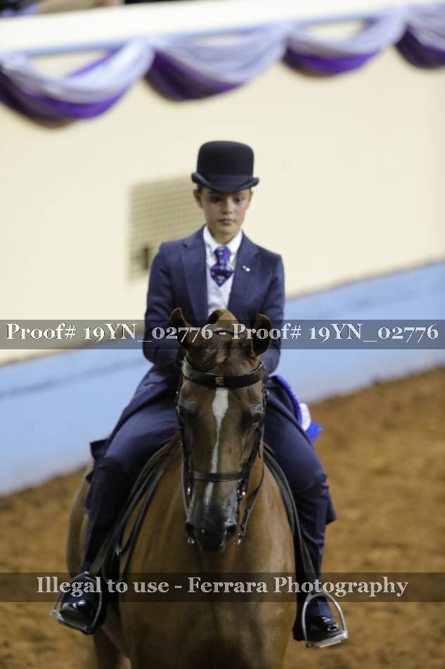 Proof 19YN_02776