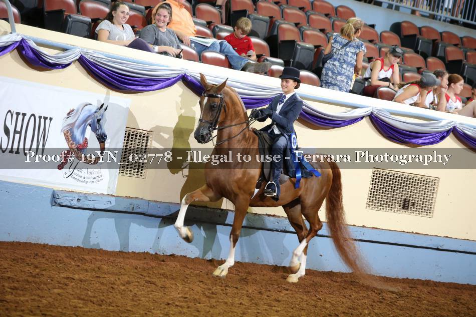 Proof 19YN_02778