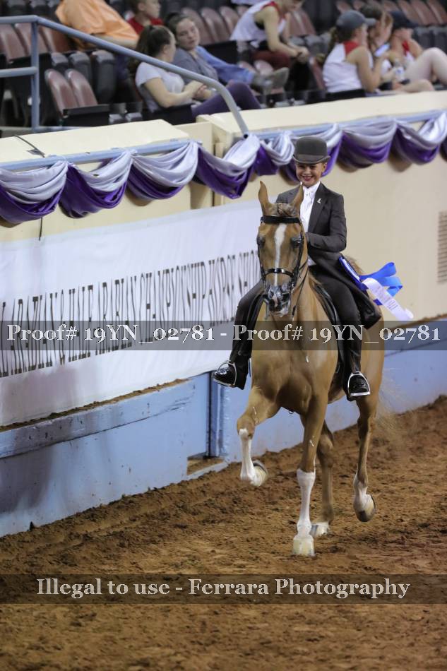 Proof 19YN_02781