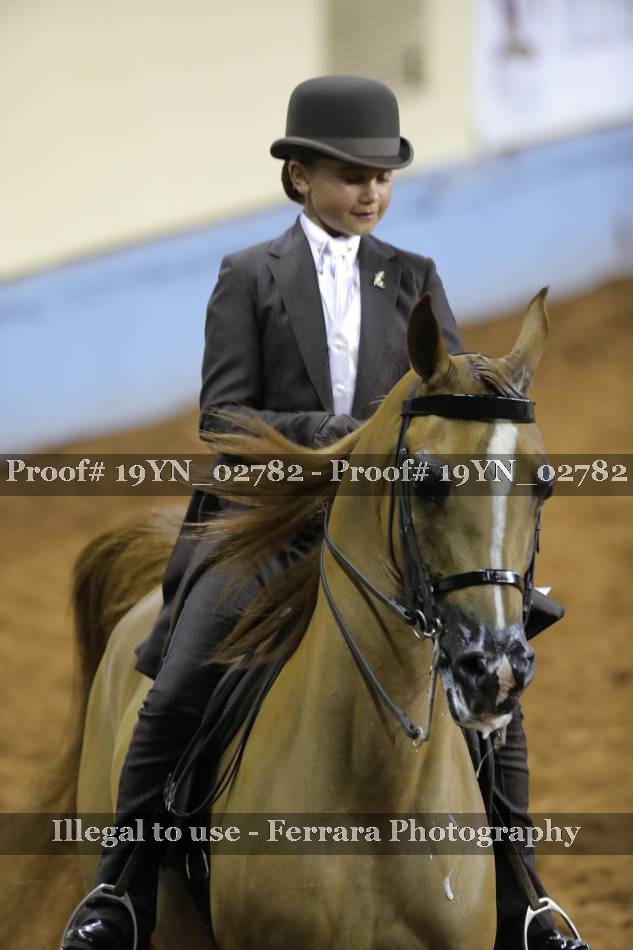 Proof 19YN_02782