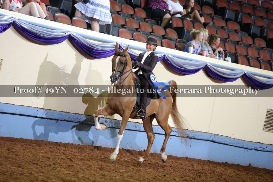 Proof 19YN_02784