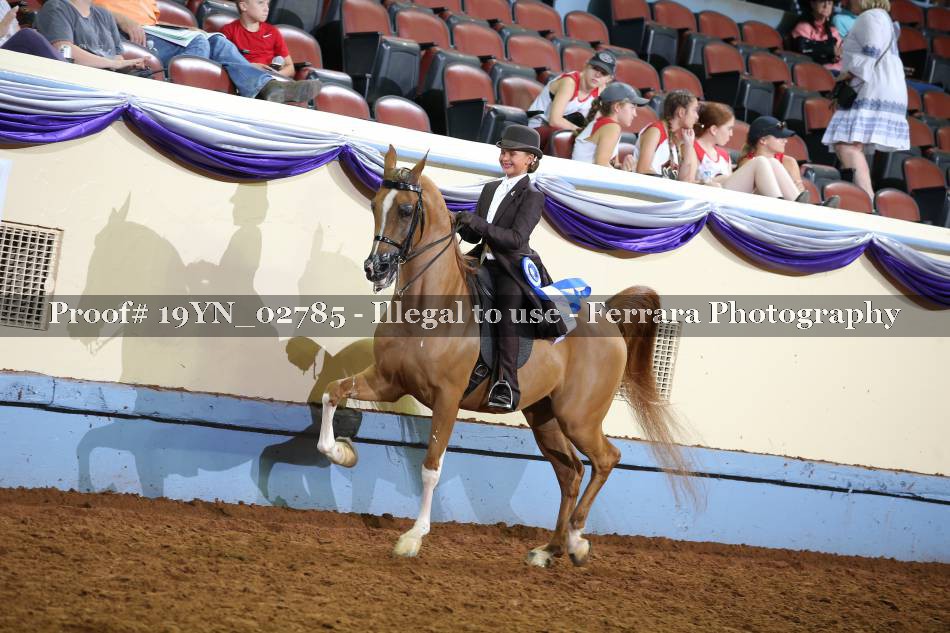 Proof 19YN_02785
