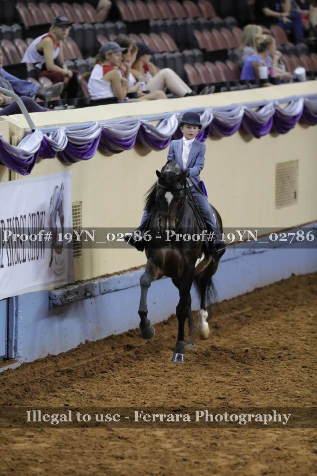 Proof 19YN_02786