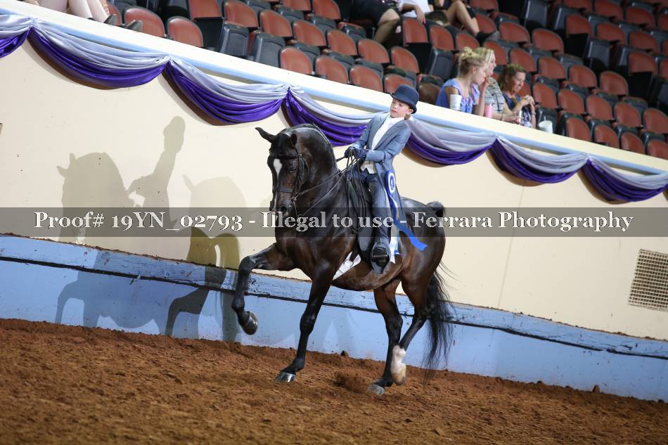 Proof 19YN_02793