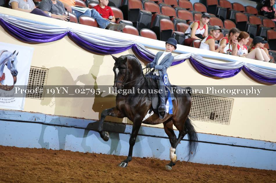Proof 19YN_02795