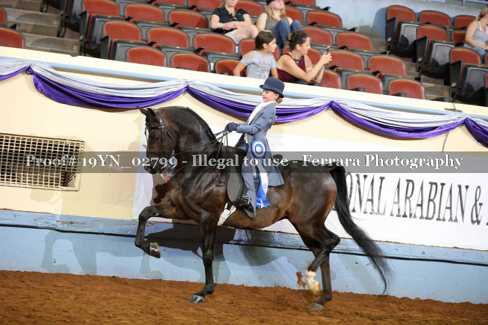 Proof 19YN_02799