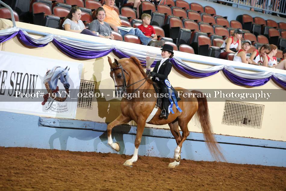 Proof 19YN_02801