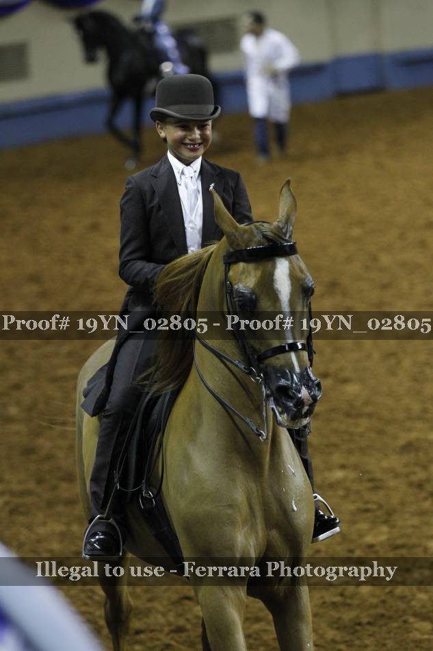 Proof 19YN_02805