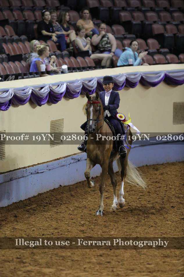 Proof 19YN_02806