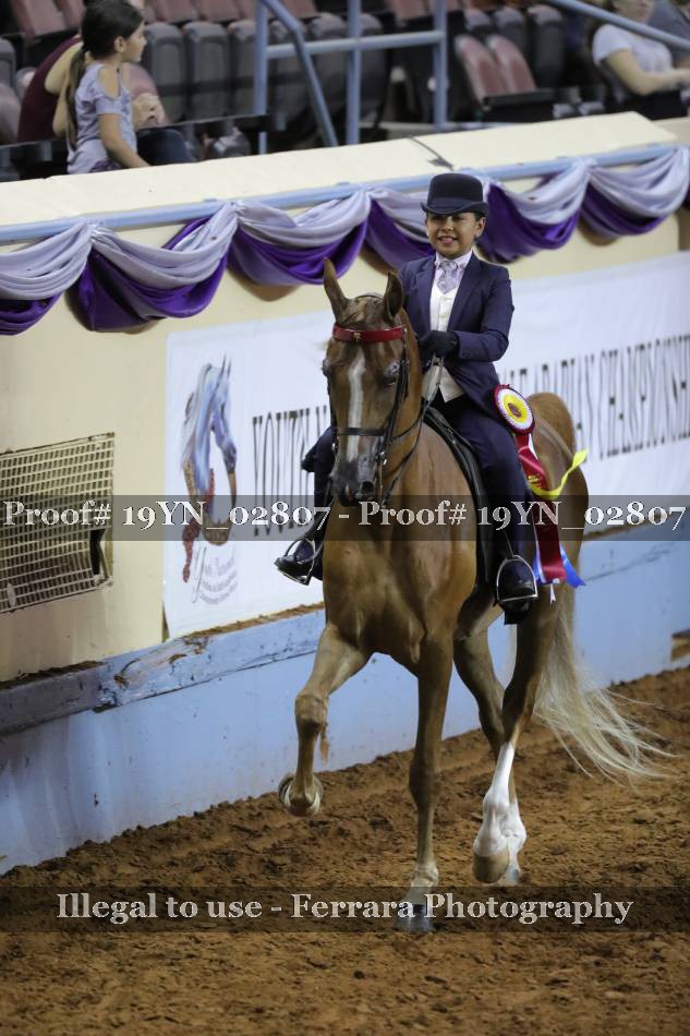 Proof 19YN_02807