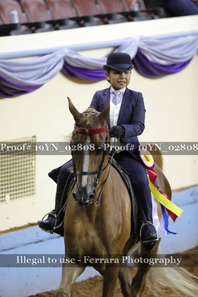 Proof 19YN_02808