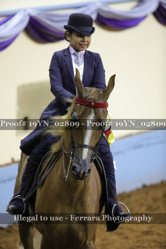 Proof 19YN_02809