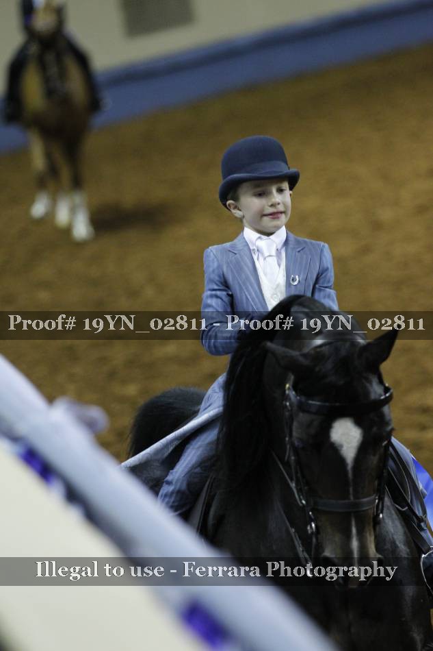 Proof 19YN_02811
