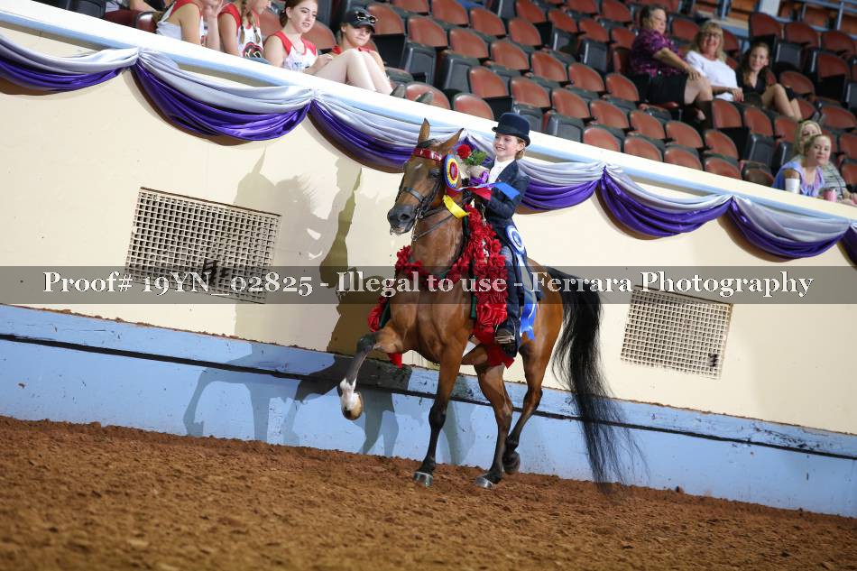 Proof 19YN_02825