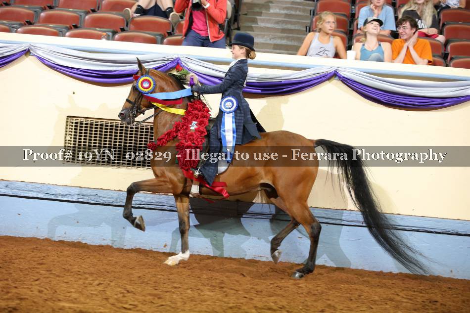 Proof 19YN_02829