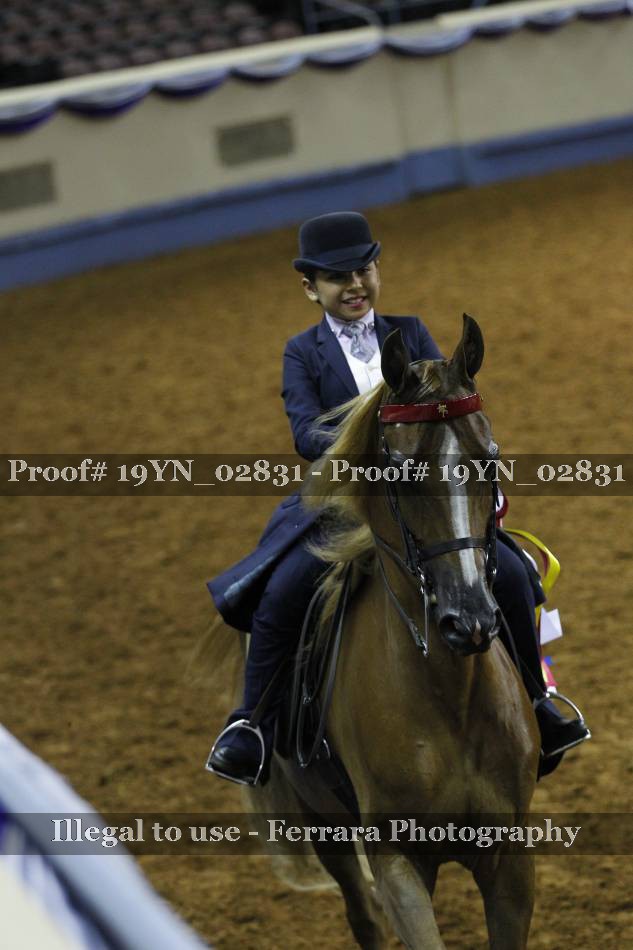 Proof 19YN_02831