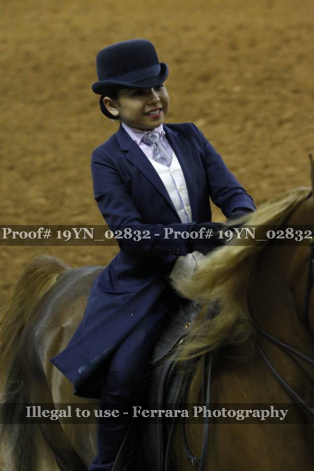 Proof 19YN_02832