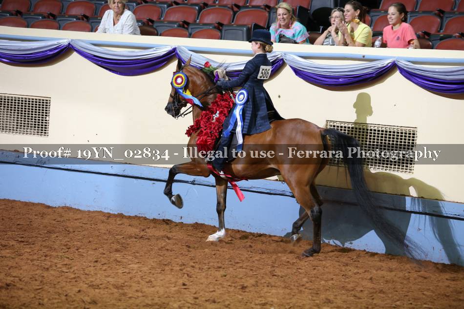 Proof 19YN_02834