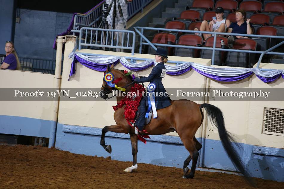 Proof 19YN_02836