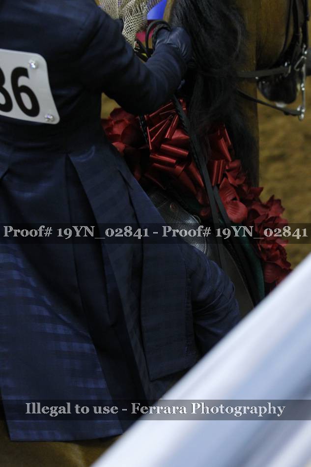 Proof 19YN_02841