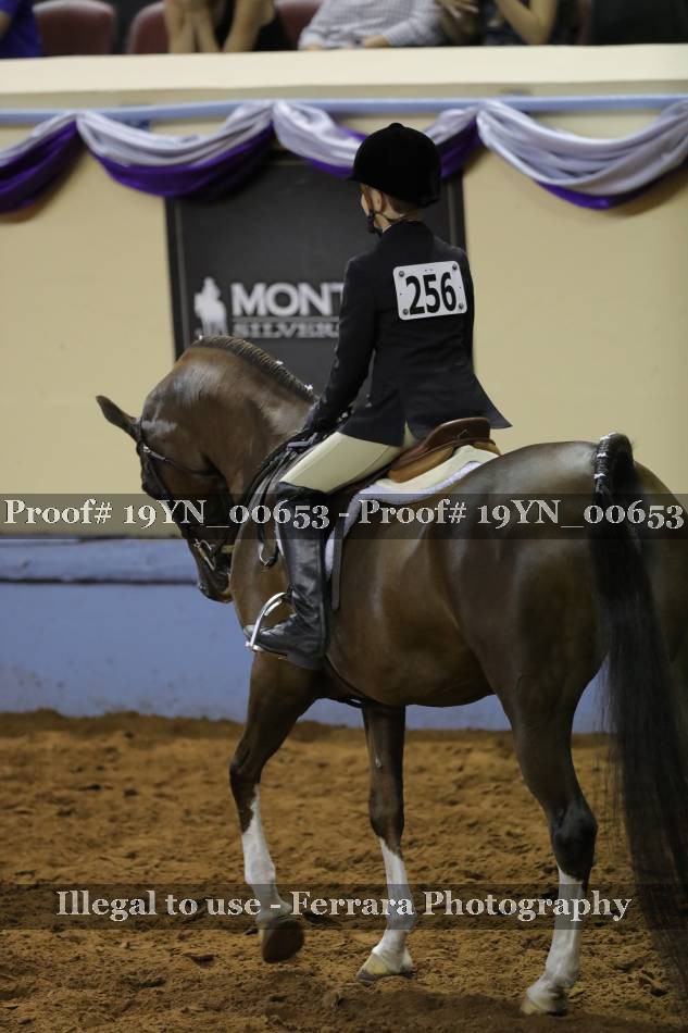 Proof 19YN_00653