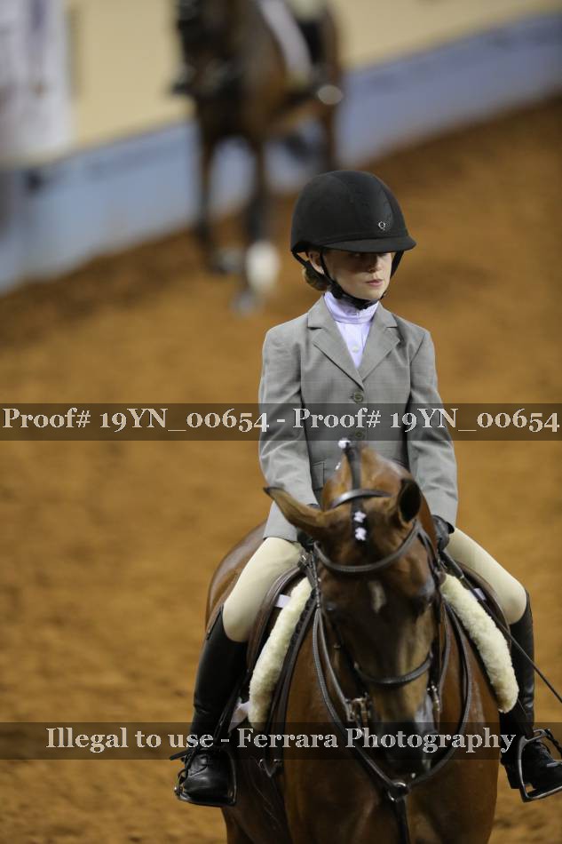 Proof 19YN_00654