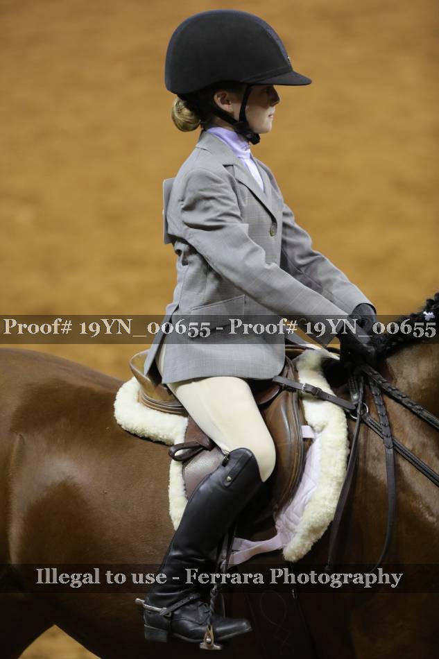 Proof 19YN_00655