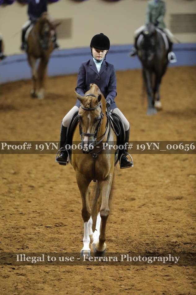 Proof 19YN_00656