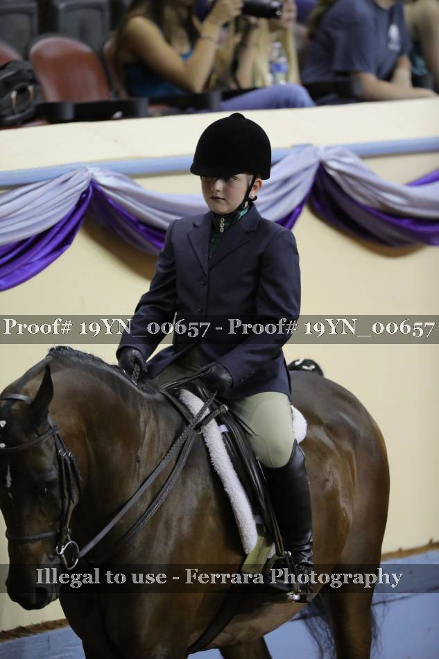 Proof 19YN_00657