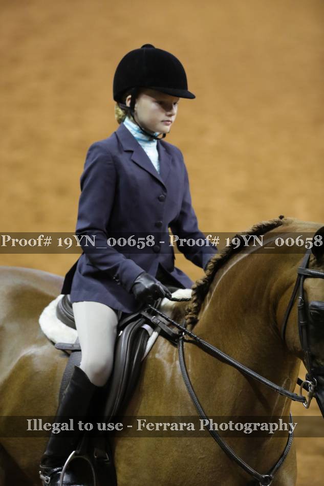 Proof 19YN_00658