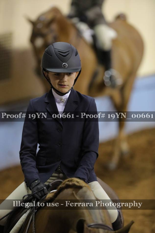 Proof 19YN_00661