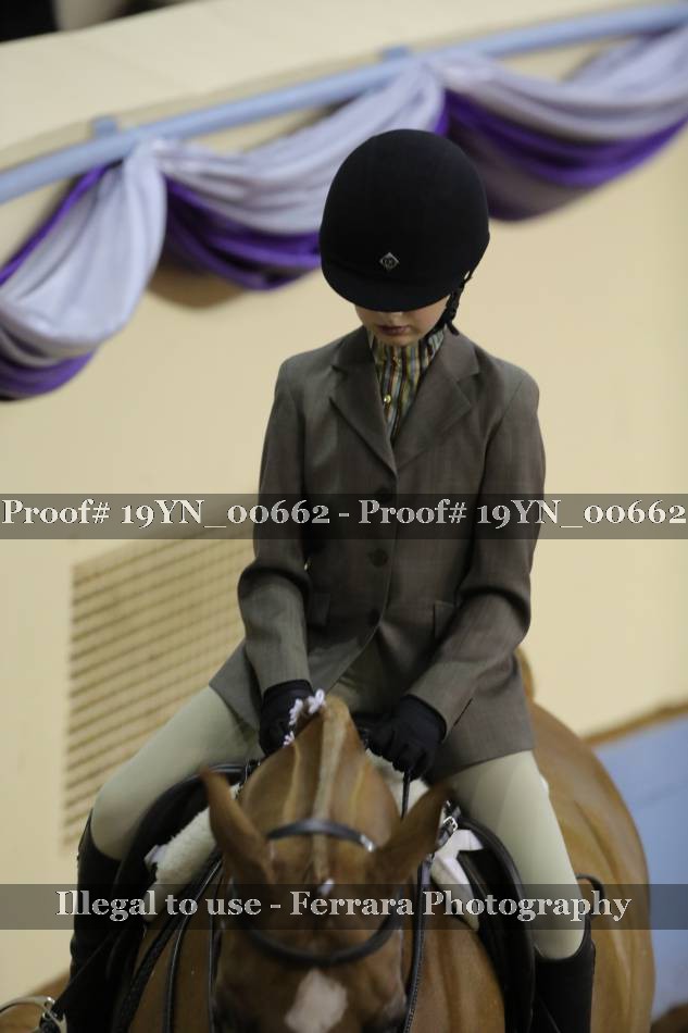 Proof 19YN_00662