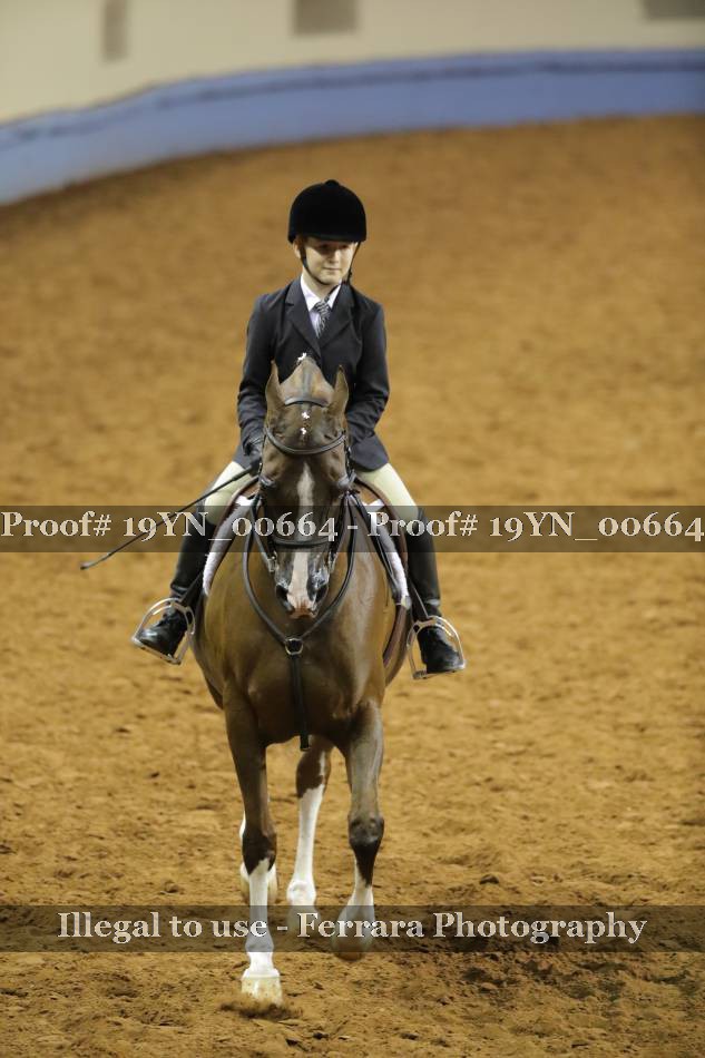 Proof 19YN_00664
