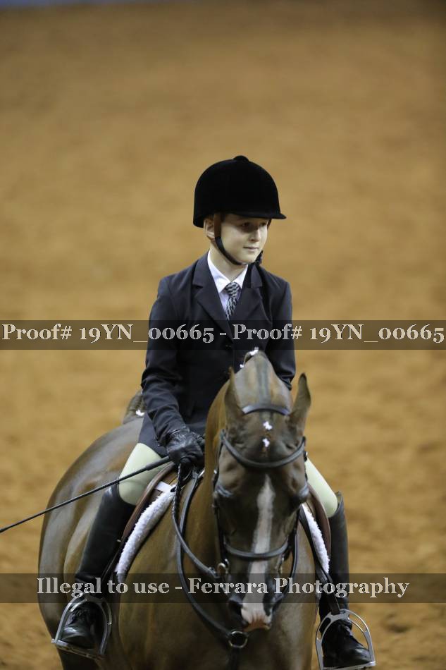 Proof 19YN_00665
