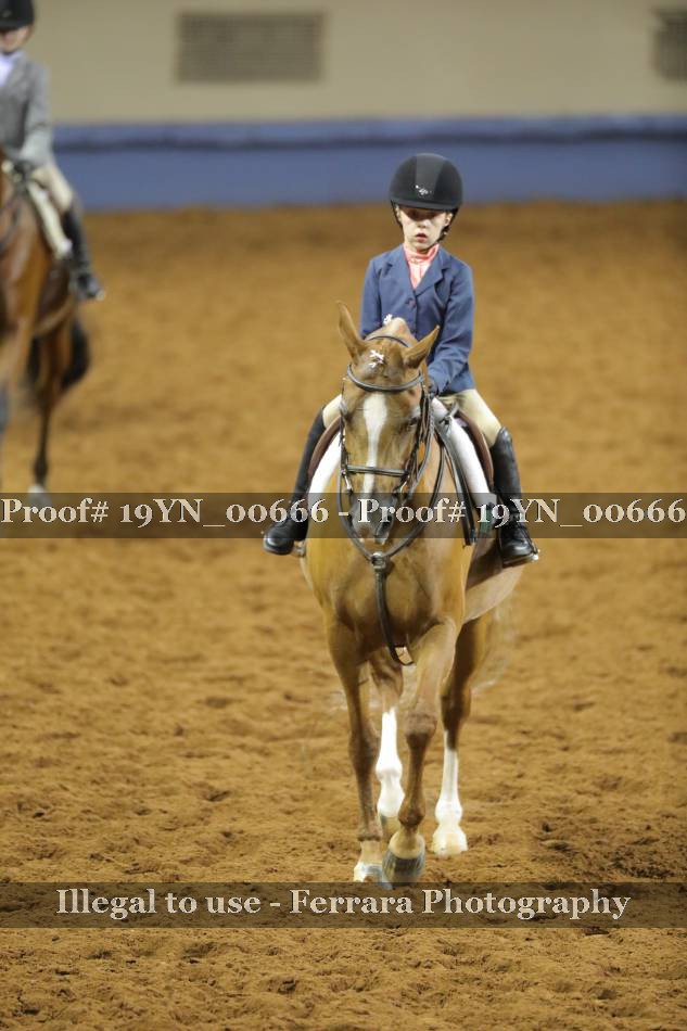 Proof 19YN_00666