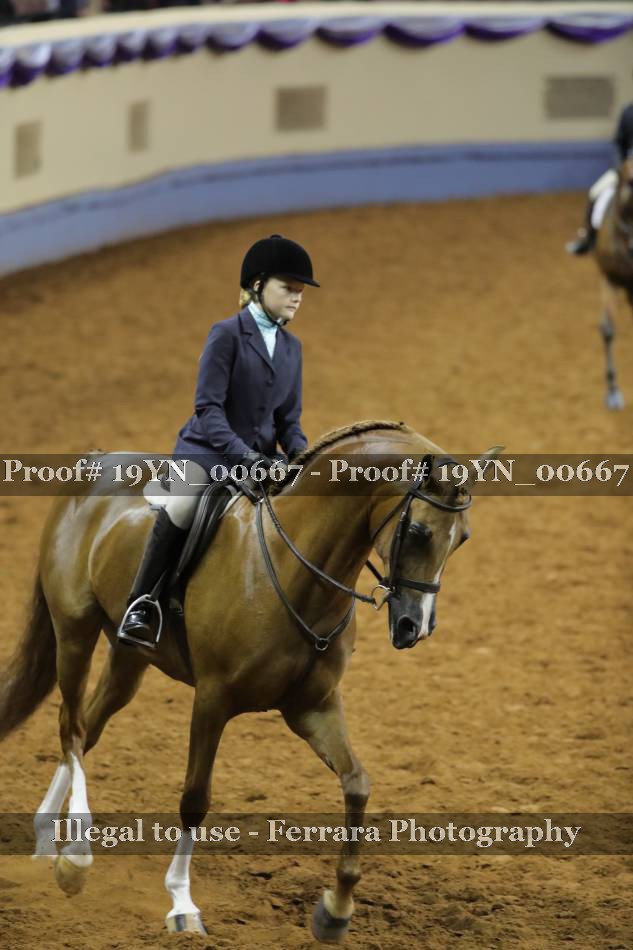 Proof 19YN_00667