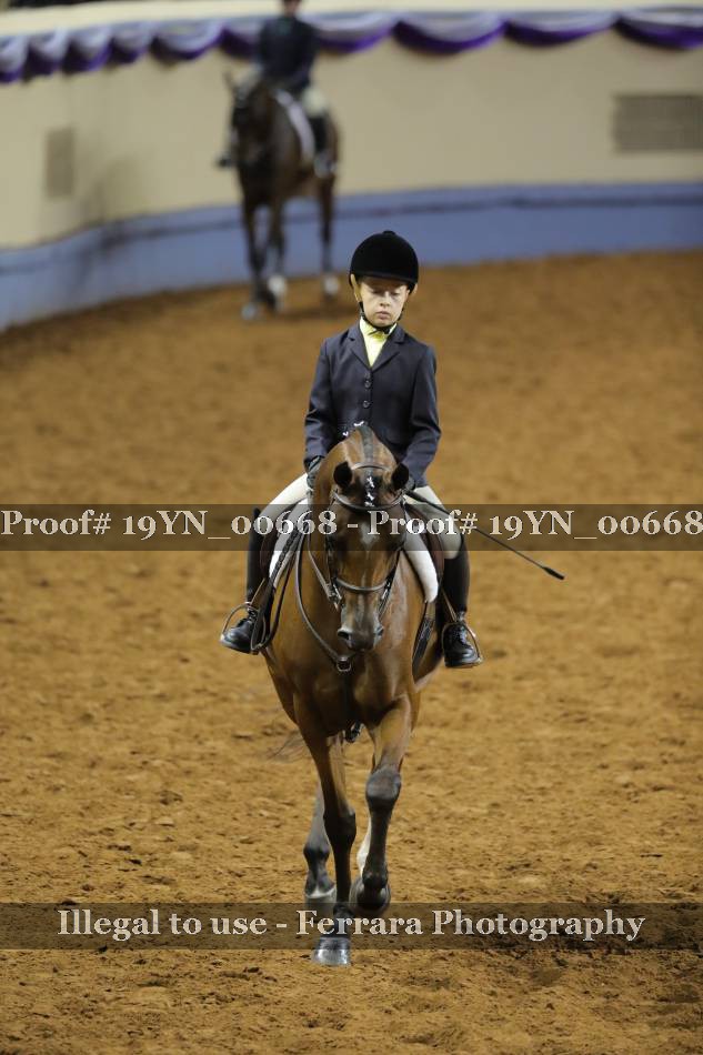 Proof 19YN_00668
