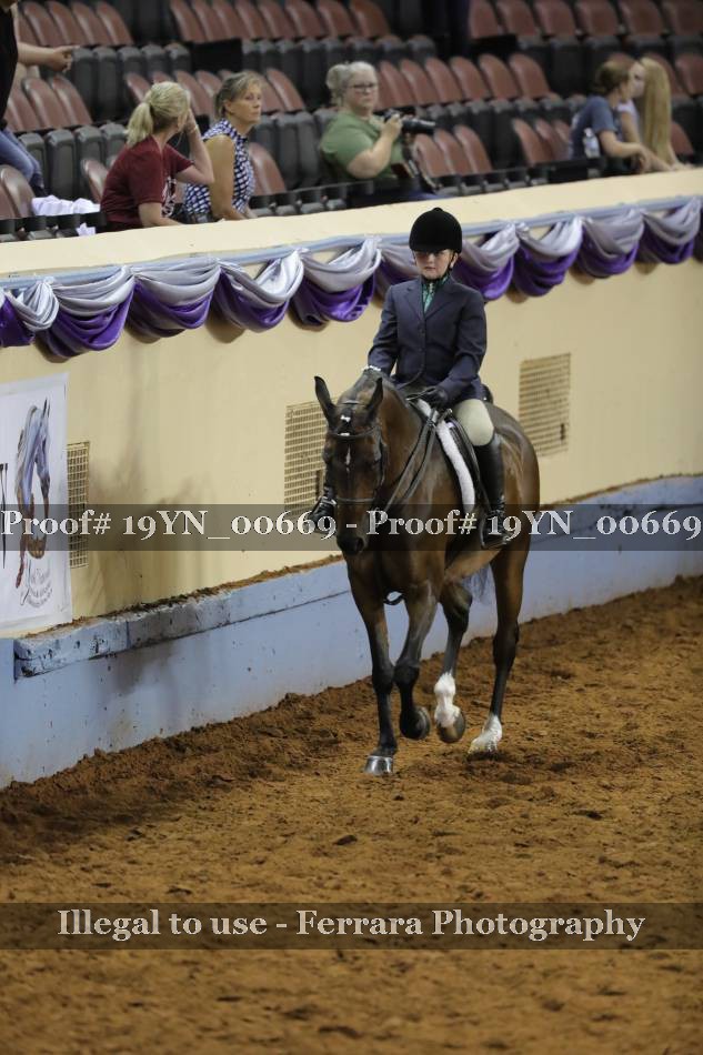 Proof 19YN_00669