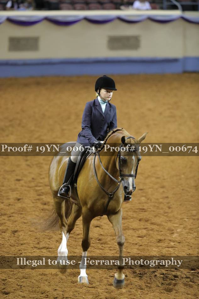 Proof 19YN_00674
