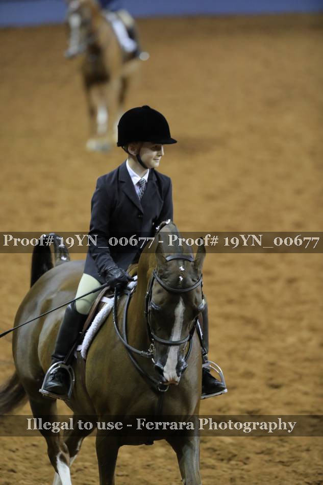 Proof 19YN_00677