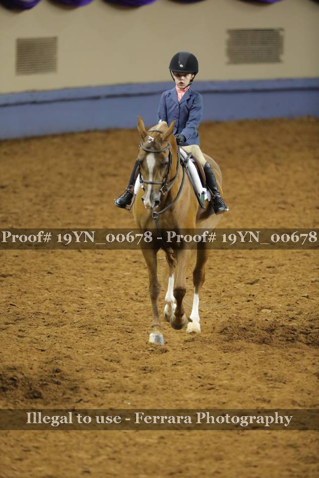 Proof 19YN_00678