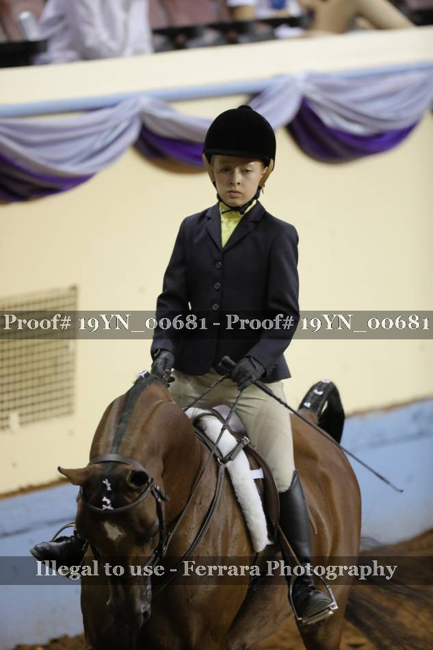Proof 19YN_00681