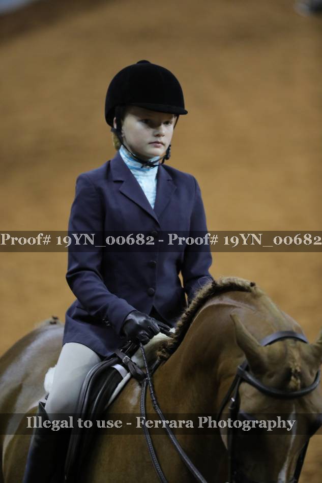 Proof 19YN_00682