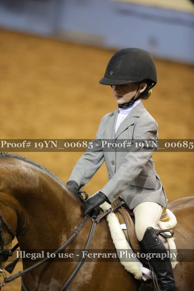 Proof 19YN_00685