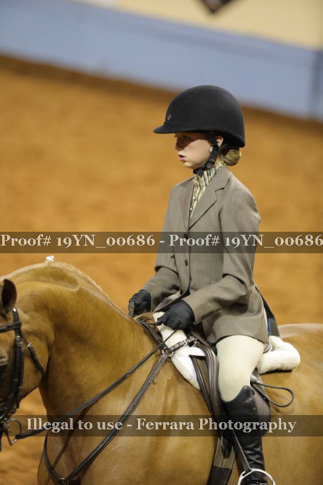 Proof 19YN_00686
