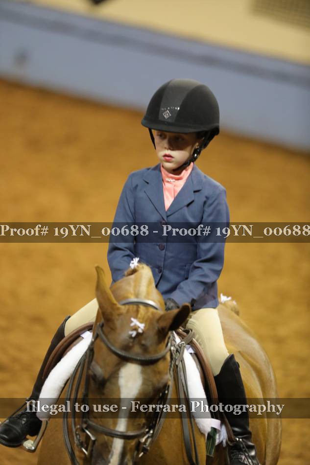Proof 19YN_00688